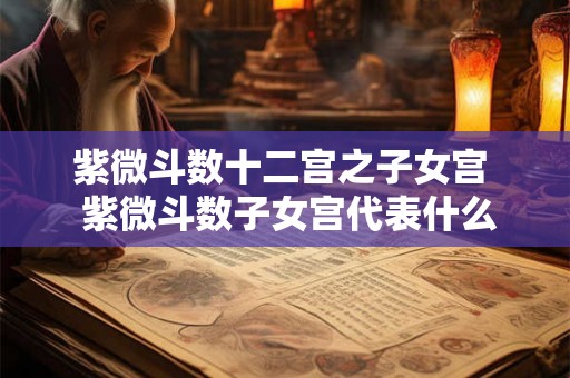 紫微斗数十二宫之子女宫  紫微斗数子女宫代表什么