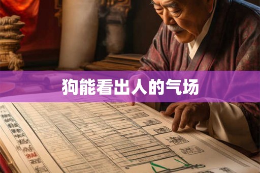 狗能看出人的气场 狗能看出人的气场