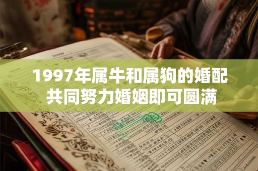 1997年属牛和属狗的婚配 共同努力婚姻即可圆满