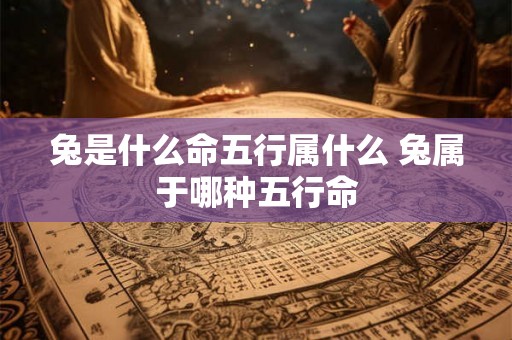 兔是什么命五行属什么 兔属于哪种五行命