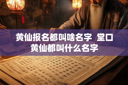 黄仙报名都叫啥名字  堂口黄仙都叫什么名字
