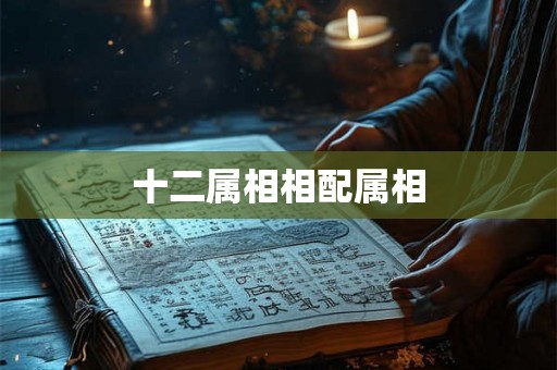 十二属相相配属相