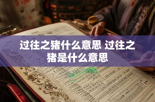 过往之猪什么意思 过往之猪是什么意思
