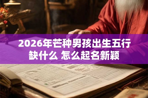 2026年芒种男孩出生五行缺什么 怎么起名新颖