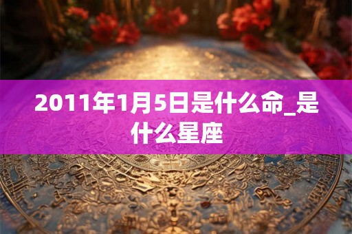 2011年1月5日是什么命_是什么星座