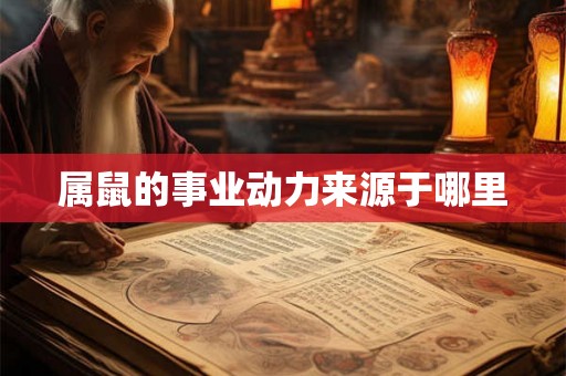 属鼠的事业动力来源于哪里