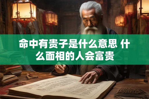 命中有贵子是什么意思 什么面相的人会富贵 命中有贵子是什么意思 什么面相的人会富贵