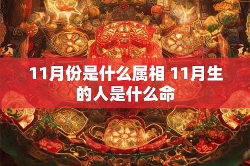 11月份是什么属相 11月生的人是什么命