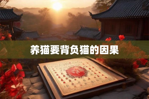 养猫要背负猫的因果 养猫要背负猫的因果