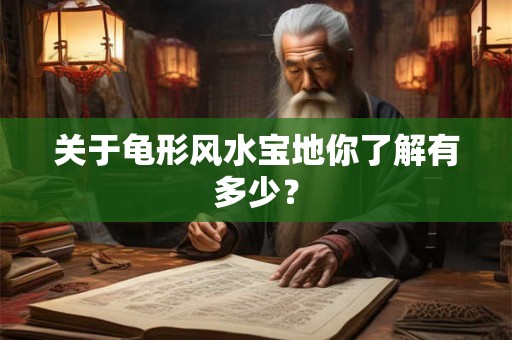 关于龟形风水宝地你了解有多少？