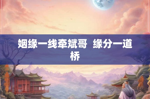 姻缘一线牵斌哥  缘分一道桥