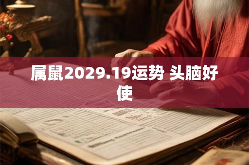 属鼠2029.19运势 头脑好使