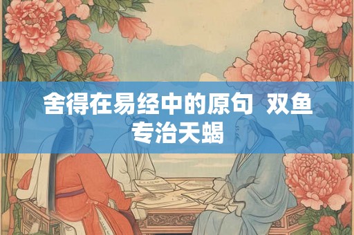 舍得在易经中的原句  双鱼专治天蝎