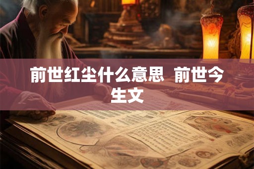 前世红尘什么意思  前世今生文