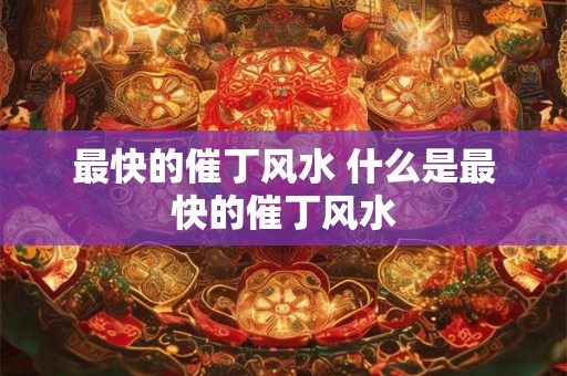 最快的催丁风水 什么是最快的催丁风水