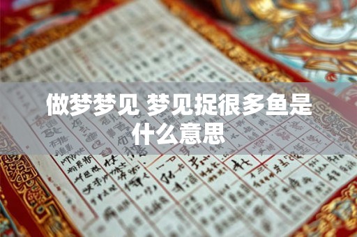 做梦梦见 梦见捉很多鱼是什么意思