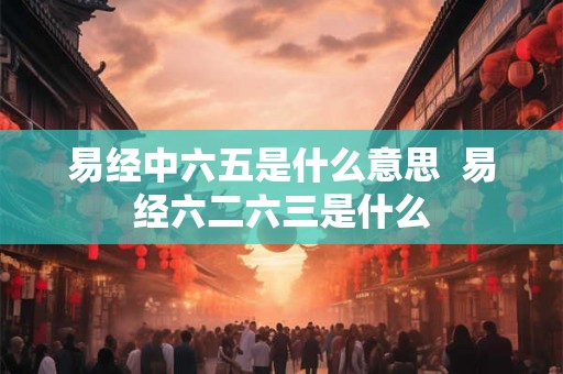 易经中六五是什么意思  易经六二六三是什么