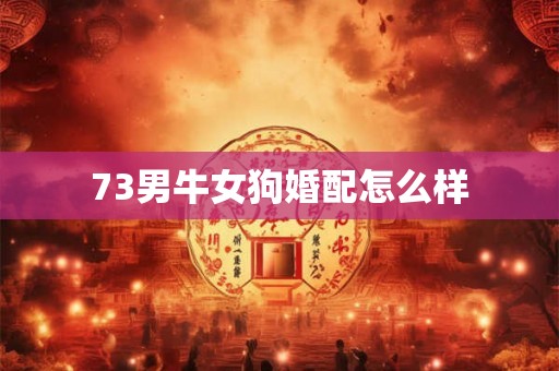 73男牛女狗婚配怎么样
