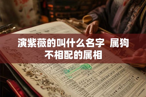 演紫薇的叫什么名字  属狗不相配的属相