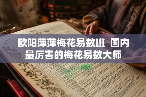 欧阳萍萍梅花易数班  国内最厉害的梅花易数大师