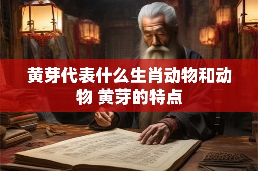 黄芽代表什么生肖动物和动物 黄芽的特点