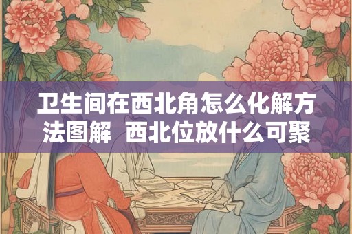 卫生间在西北角怎么化解方法图解  西北位放什么可聚财