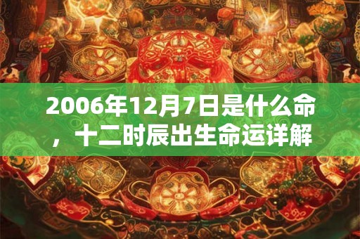 2006年12月7日是什么命，十二时辰出生命运详解