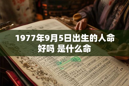1977年9月5日出生的人命好吗 是什么命 1977年9月5日出生的人命好吗 是什么命
