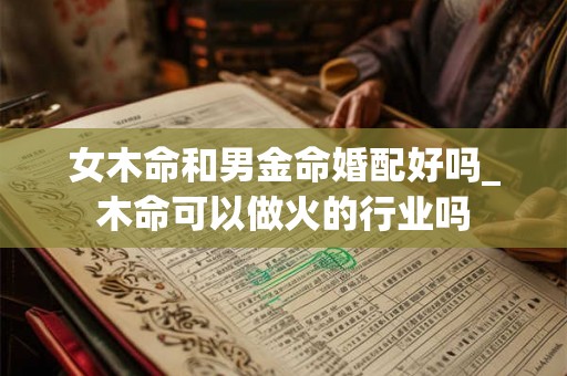 女木命和男金命婚配好吗_木命可以做火的行业吗
