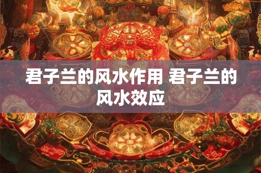 君子兰的风水作用 君子兰的风水效应 君子兰的风水作用 君子兰的风水效应