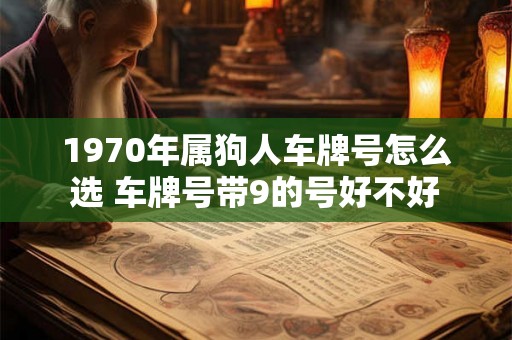 1970年属狗人车牌号怎么选 车牌号带9的号好不好