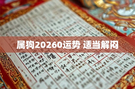 属狗20260运势 适当解闷