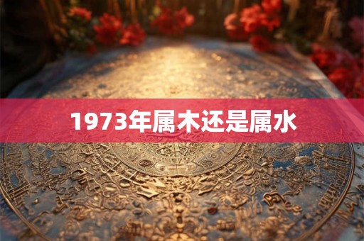 1973年属木还是属水