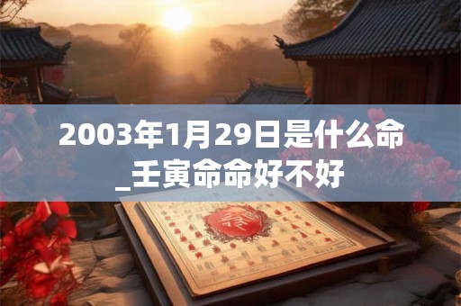 2003年1月29日是什么命_壬寅命命好不好