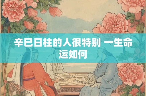 辛巳日柱的人很特别 一生命运如何