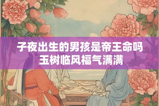 子夜出生的男孩是帝王命吗 玉树临风福气满满
