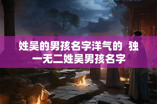 姓吴的男孩名字洋气的  独一无二姓吴男孩名字