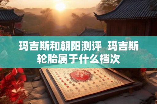 玛吉斯和朝阳测评  玛吉斯轮胎属于什么档次
