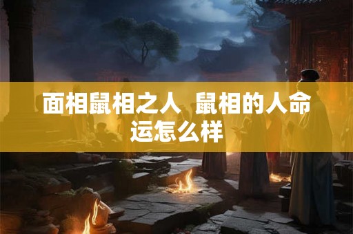 面相鼠相之人  鼠相的人命运怎么样