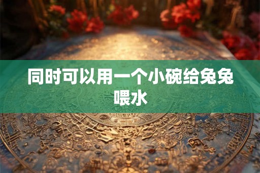 同时可以用一个小碗给兔兔喂水