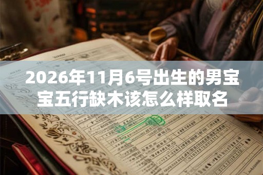 2026年11月6号出生的男宝宝五行缺木该怎么样取名