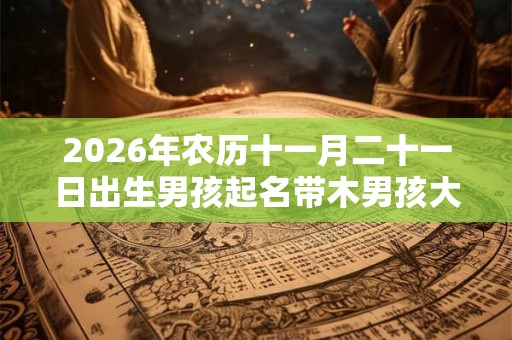 2026年农历十一月二十一日出生男孩起名带木男孩大气名字