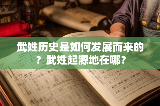 武姓历史是如何发展而来的？武姓起源地在哪？