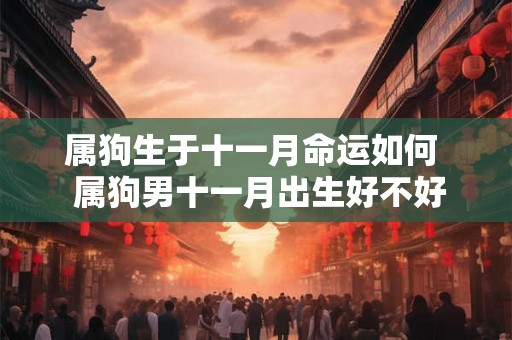 属狗生于十一月命运如何  属狗男十一月出生好不好