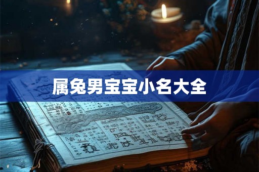 属兔男宝宝小名大全