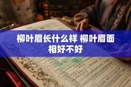柳叶眉长什么样 柳叶眉面相好不好