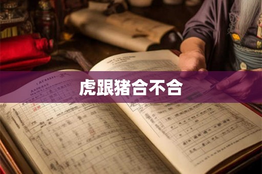 虎跟猪合不合