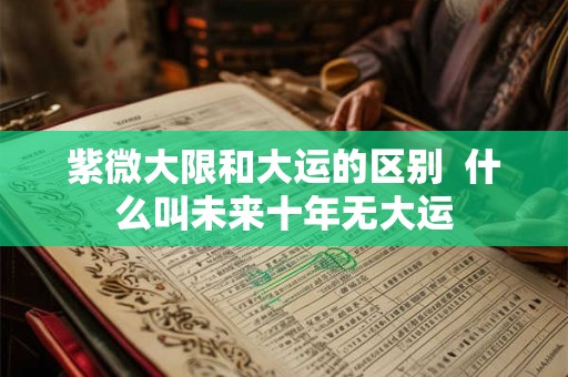 紫微大限和大运的区别  什么叫未来十年无大运