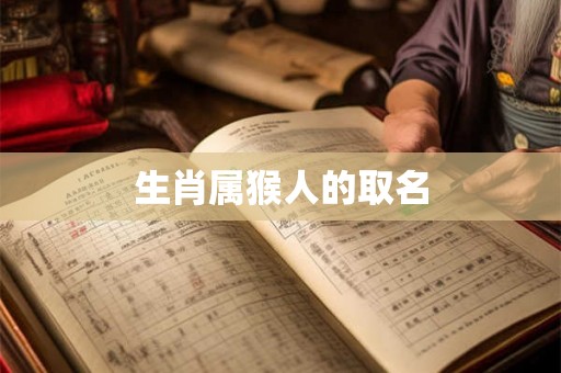 生肖属猴人的取名