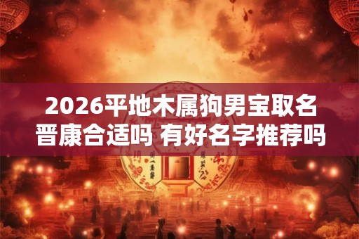 2026平地木属狗男宝取名晋康合适吗 有好名字推荐吗